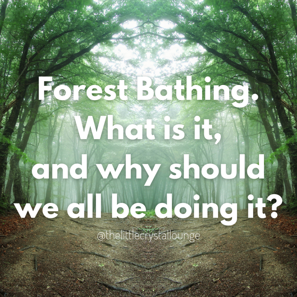 And Into The Forest I Go.... Forest Bathing And It's Benefits - The ...